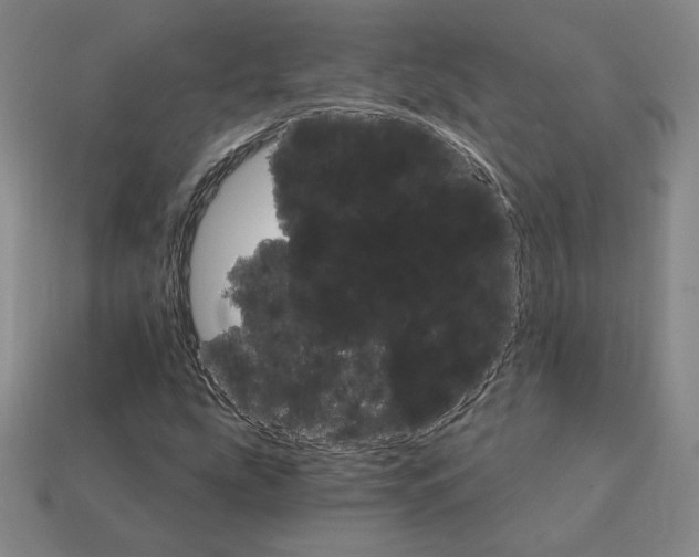 X0000111931207200909071231