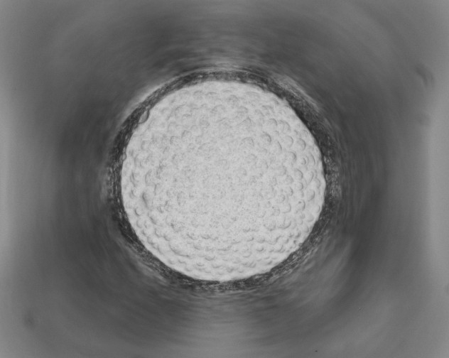 X0000111931208200909071231