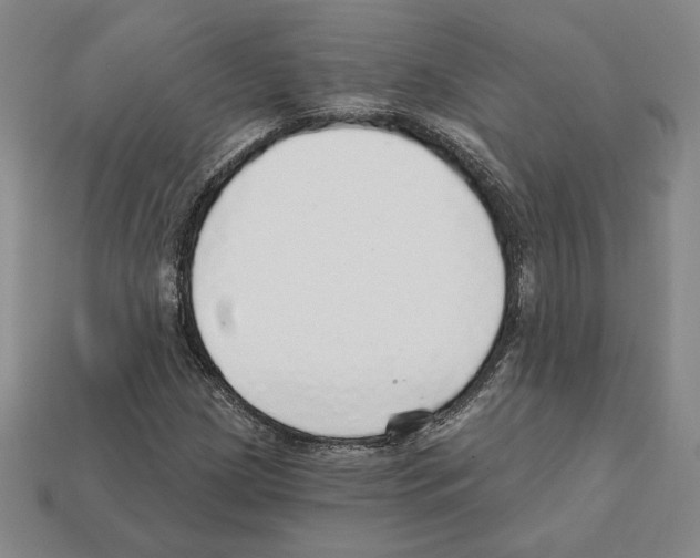 X0000111931209200909071231