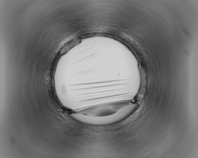 X0000111931210200909071231