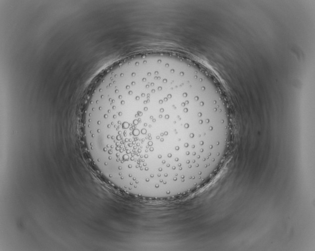 X0000111931211200909071231