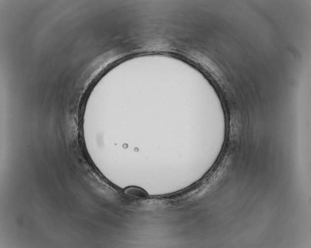 X0000111931212200909071231