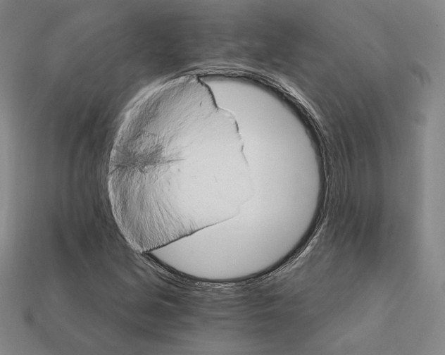 X0000111931213200909071231