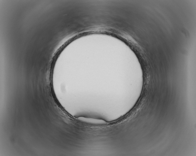 X0000111931216200909071231