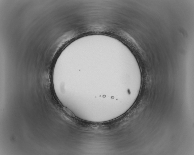 X0000111931218200909071231