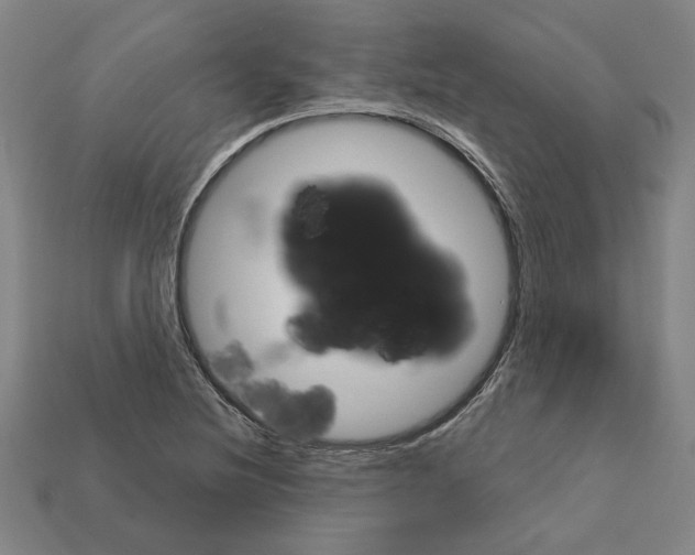 X0000111931220200909071231