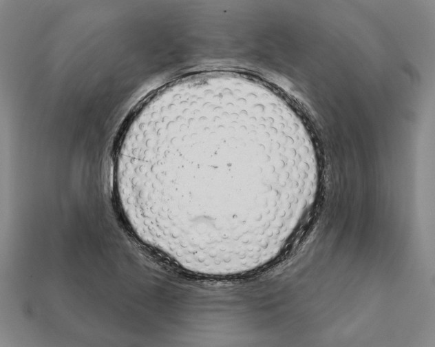 X0000111931221200909071231