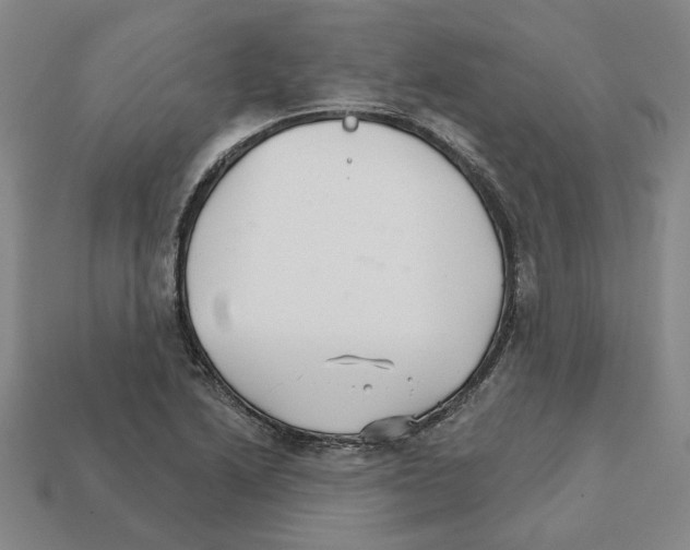 X0000111931222200909071231