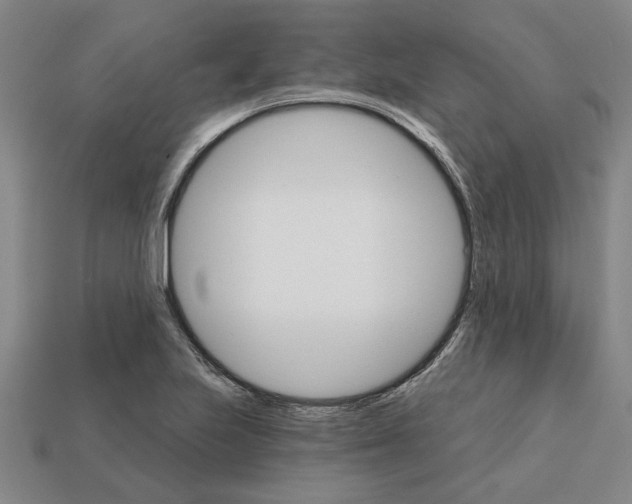 X0000111931223200909071231