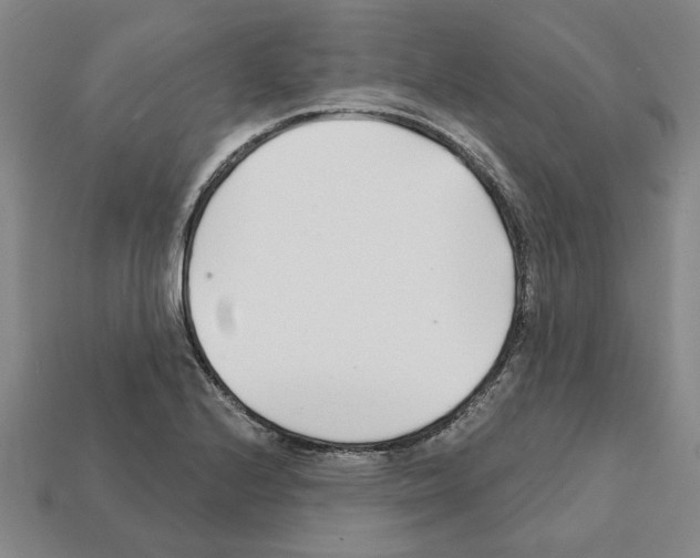 X0000111931224200909071231