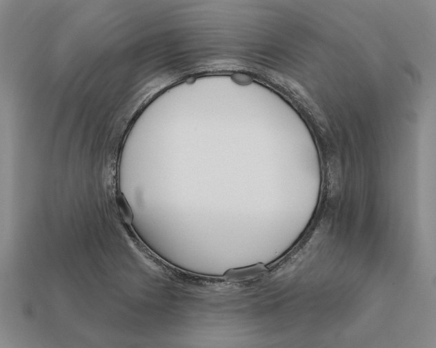 X0000111931225200909071231