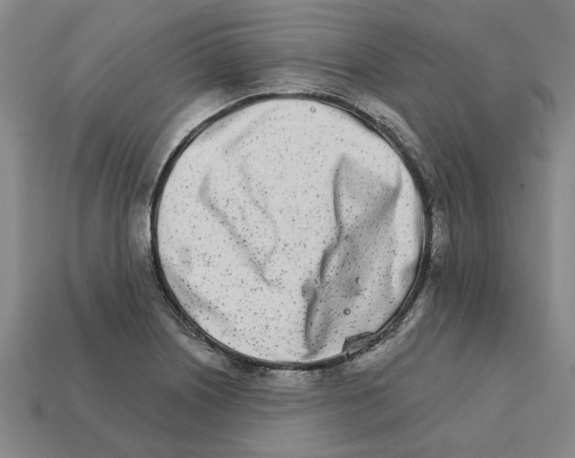 X0000111931226200909071231