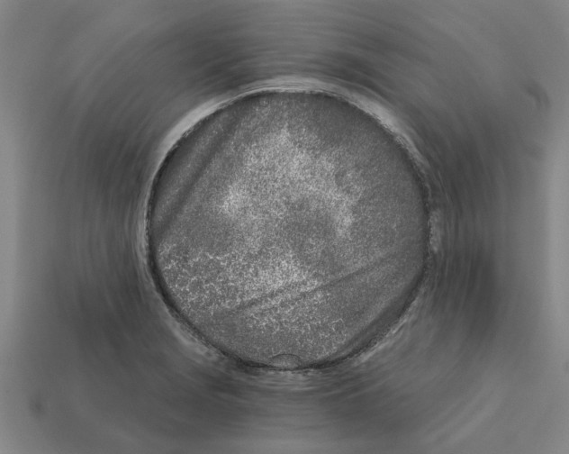 X0000111931229200909071231