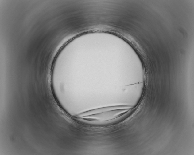 X0000111931232200909071231