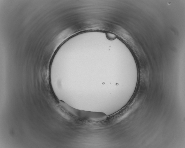 X0000111931234200909071231