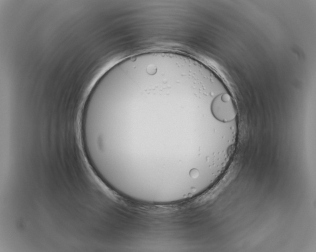 X0000111931235200909071231