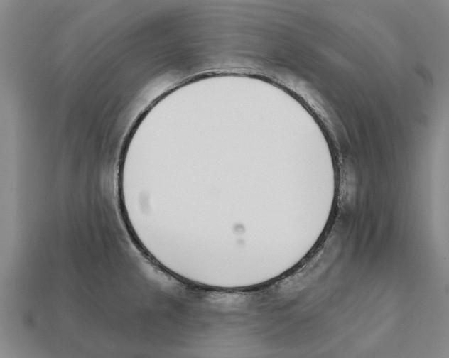 X0000111931237200909071231