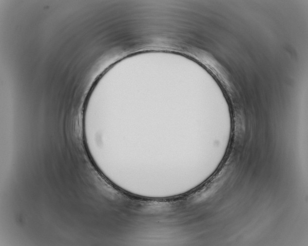 X0000111931238200909071231