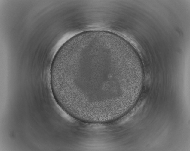 X0000111931239200909071231