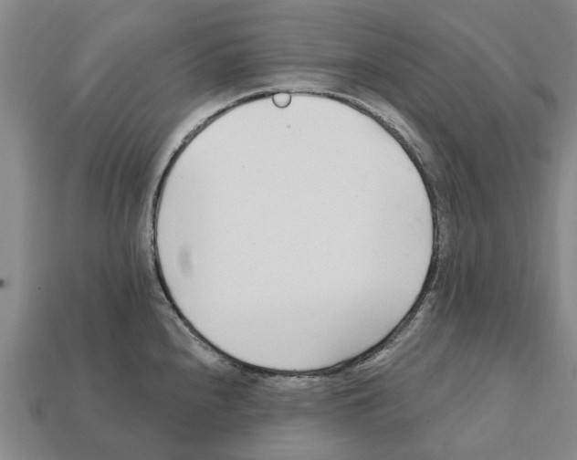 X0000111931240200909071231