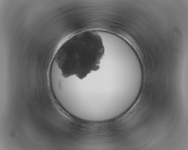 X0000111931242200909071231