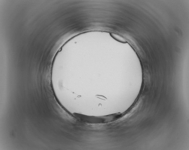 X0000111931244200909071231