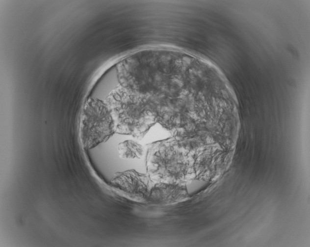 X0000111931245200909071231