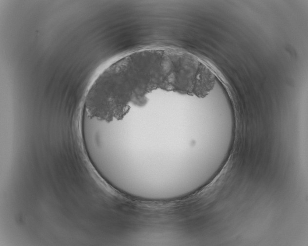 X0000111931246200909071231