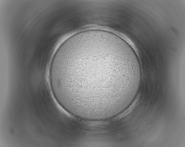 X0000111931247200909071232