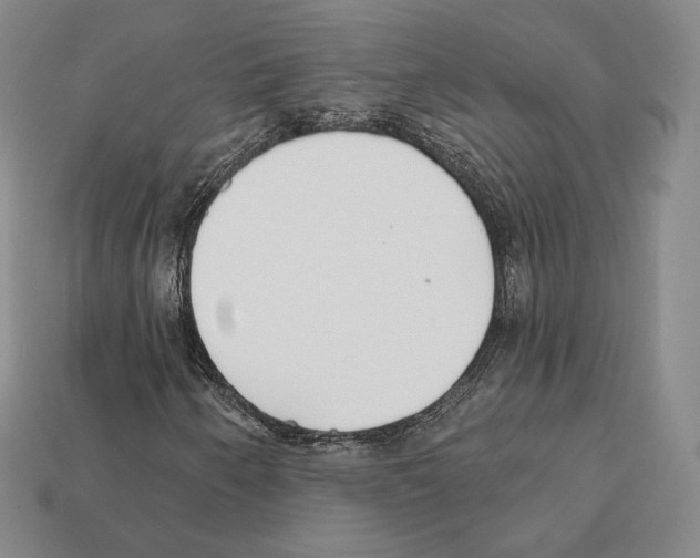 X0000111931250200909071231