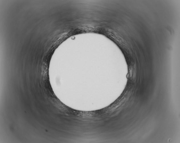 X0000111931251200909071231