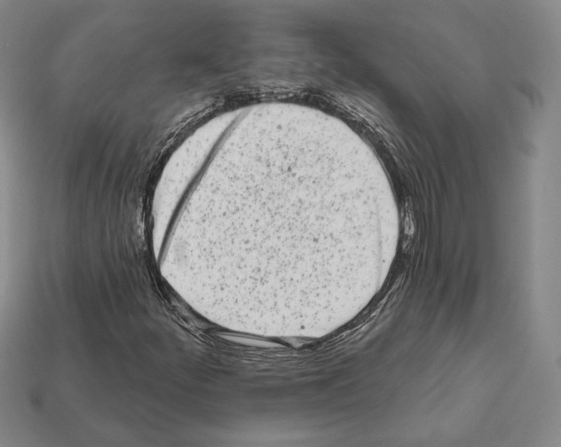 X0000111931252200909071231