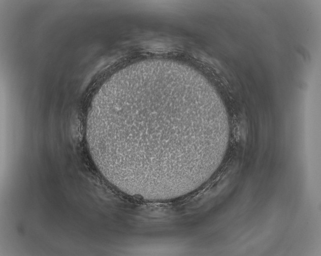 X0000111931253200909071231