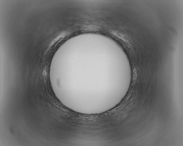 X0000111931254200909071231