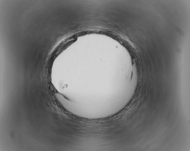 X0000111931256200909071231