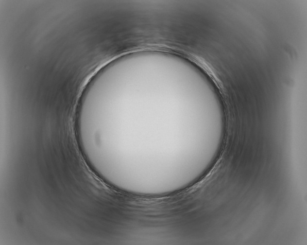 X0000111931260200909071231