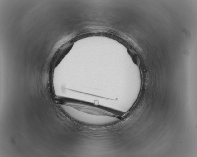 X0000111931261200909071231