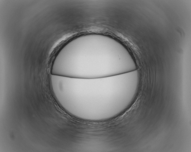 X0000111931262200909071231