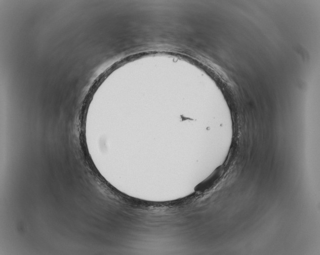 X0000111931264200909071231