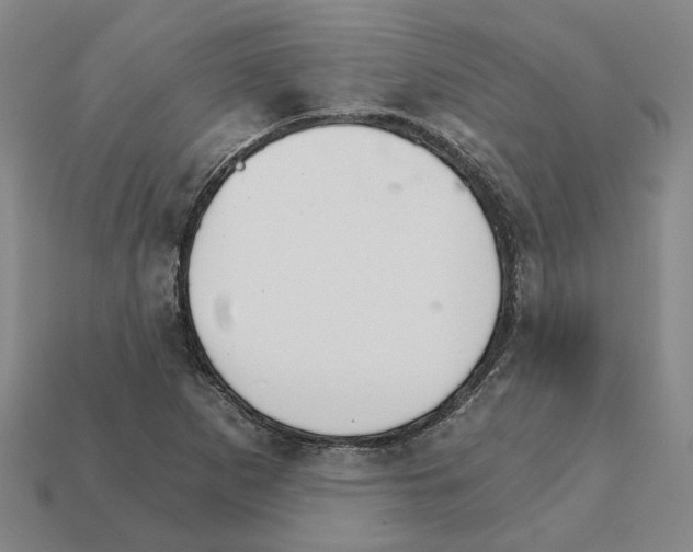 X0000111931265200909071231