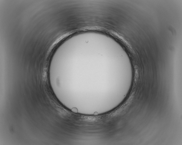 X0000111931266200909071231