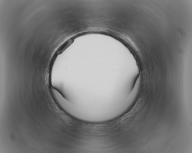 X0000111931268200909071231