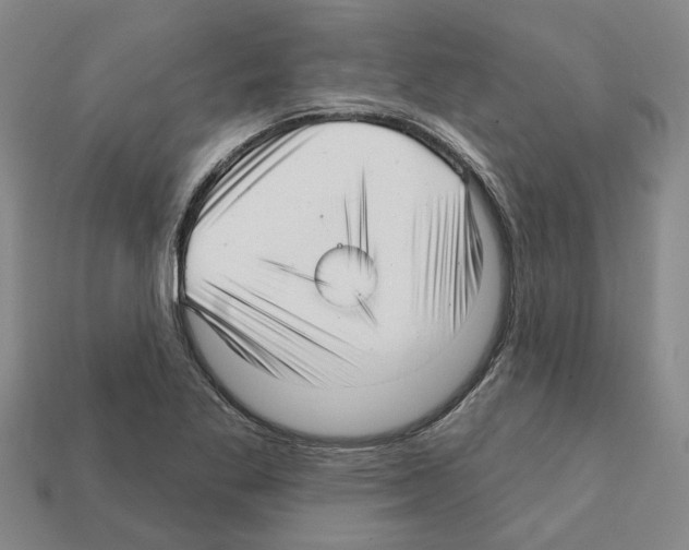 X0000111931269200909071231