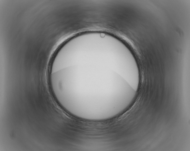 X0000111931270200909071231