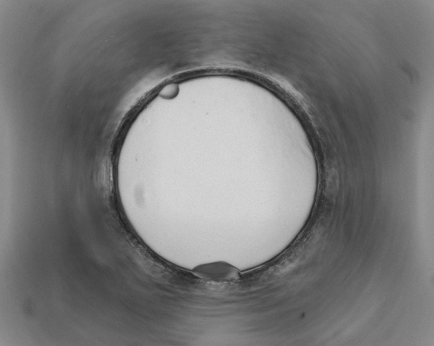 X0000111931271200909071231