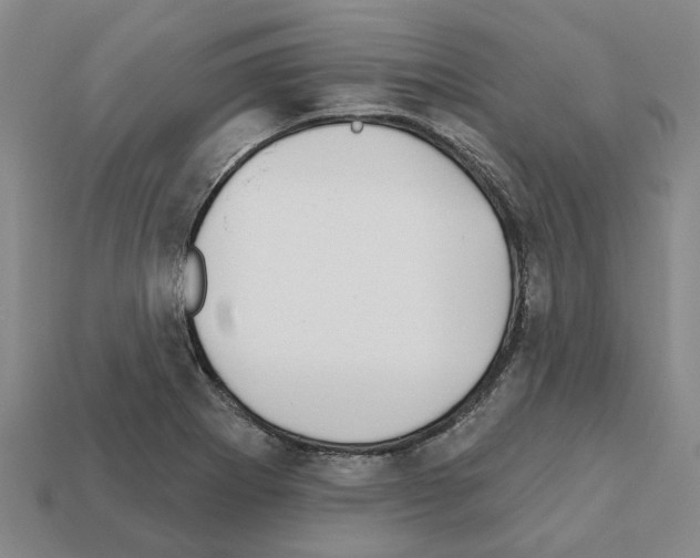 X0000111931273200909071231