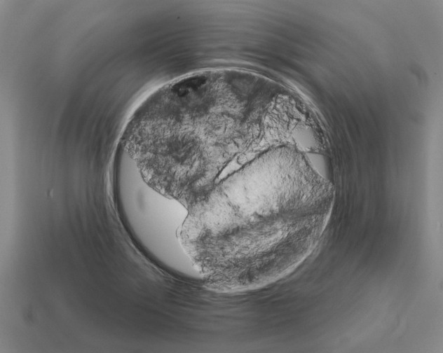 X0000111931275200909071231