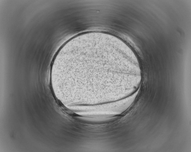 X0000111931276200909071231