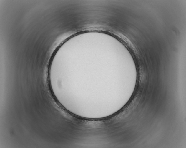 X0000111931277200909071231