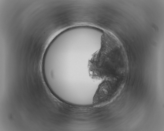 X0000111931279200909071231